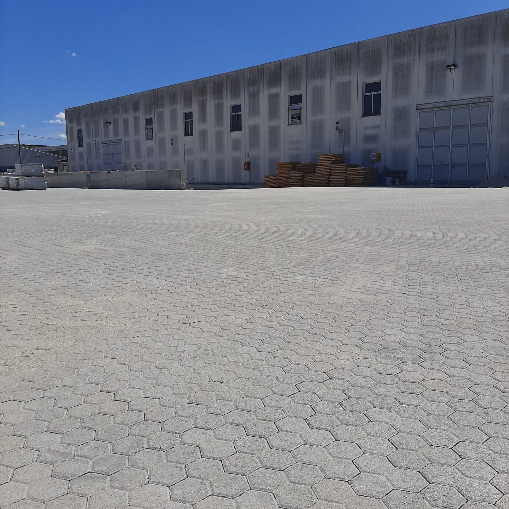 WhatsApp Image 2023-01-27 at 16.33.24