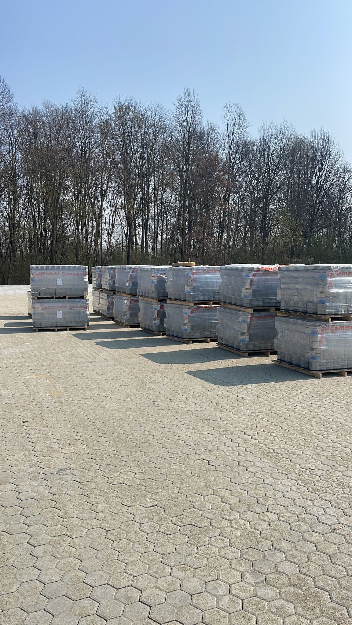 WhatsApp Image 2023-03-22 at 12.05.45 (1)