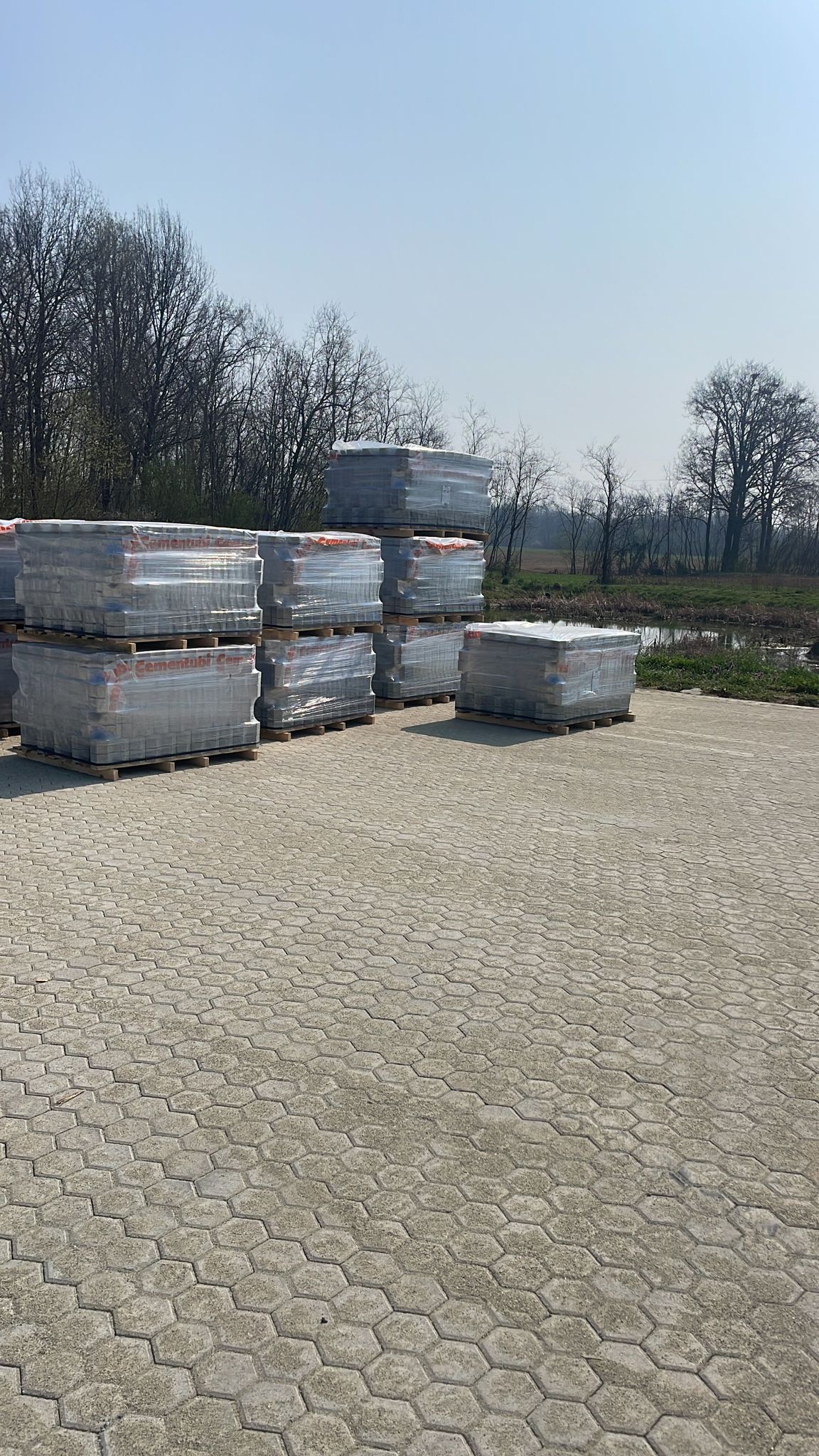 WhatsApp Image 2023-03-22 at 12.05.45