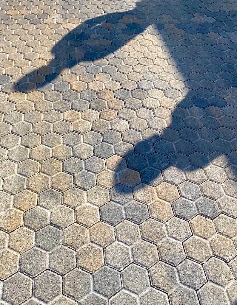 WhatsApp Image 2023-03-22 at 14.55.56