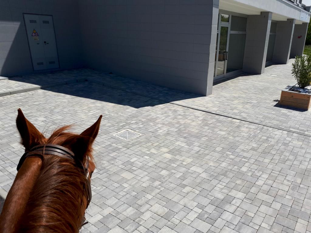 WhatsApp Image 2024-11-12 at 17.44.08 (1)