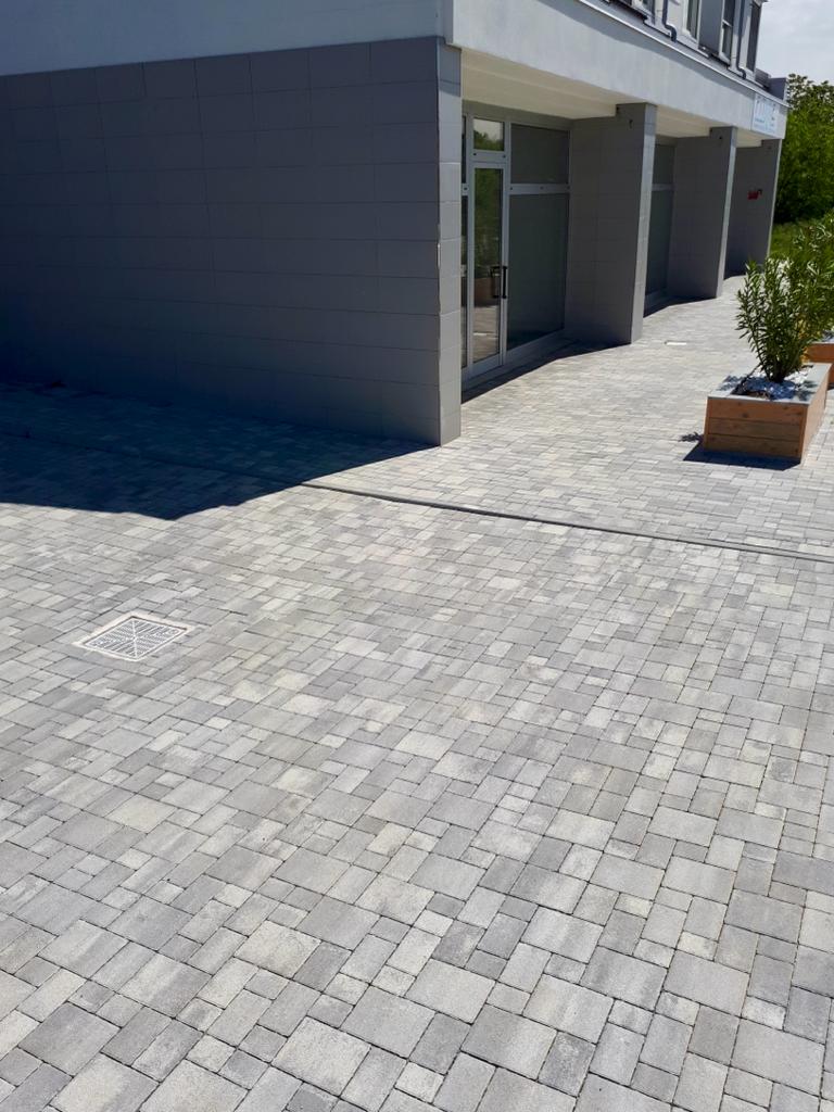 WhatsApp Image 2024-11-12 at 17.44.08