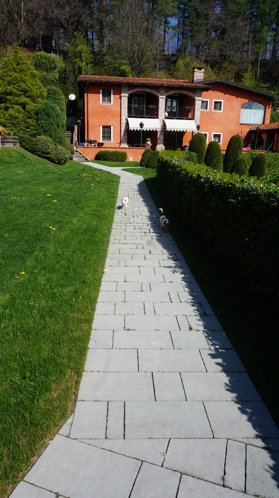 WhatsApp Image 2024-11-12 at 17.49.09 (1)